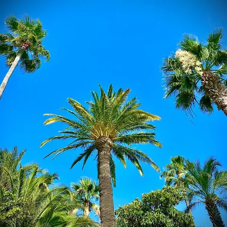 Coeur De Frejus, 3 Pièces Climatisé Avec Piscine, Terrasse, Barbecue Apartamento Fréjus