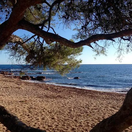 Coeur De Frejus, 3 Pièces Climatisé Avec Piscine, Terrasse, Barbecue * Fréjus